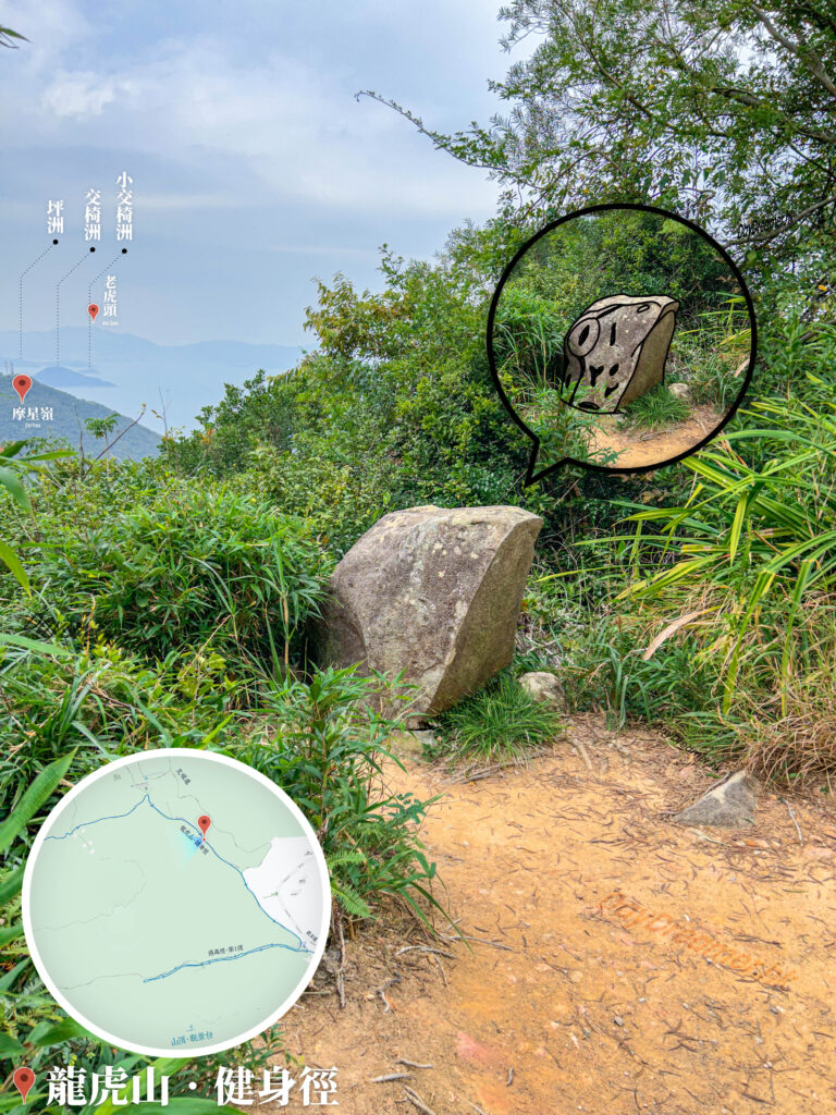 龍虎山健身徑 • 青蛙石🐸《4》