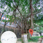 中區自然徑 / 舊域多利產科醫院大樓《2》