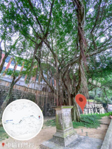 中區自然徑 / 舊域多利醫院 • 產科大樓《2》