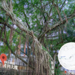 中區自然徑 / 舊域多利醫院 • 產科大樓《6》