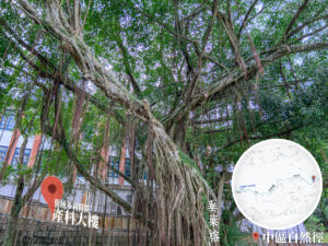 中區自然徑 / 舊域多利醫院 • 產科大樓《6》