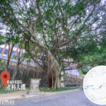 中區自然徑 / 舊域多利醫院 • 產科大樓《1》