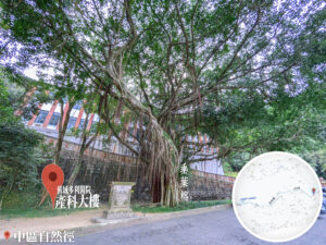 中區自然徑 / 舊域多利醫院 • 產科大樓《1》