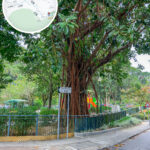 甘道 • 兒童遊樂場 🎠