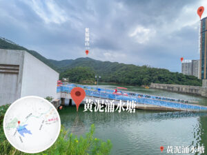 黃泥涌• 水塘《1》