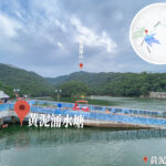 黃泥涌• 水塘《3》