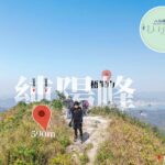 八仙嶺之巔《4》