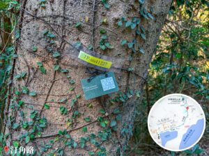 樹木標籤