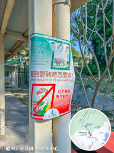 郊遊海報《遇到野豬時怎麼辦？》