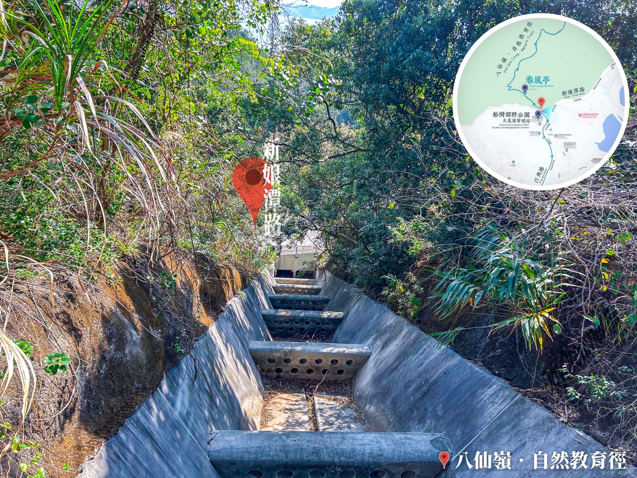 八仙嶺 • 自然教育徑《雨水引水道》