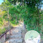 八仙嶺 • 自然教育徑《1.1》