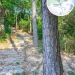 八仙嶺 • 自然教育徑《1.2》