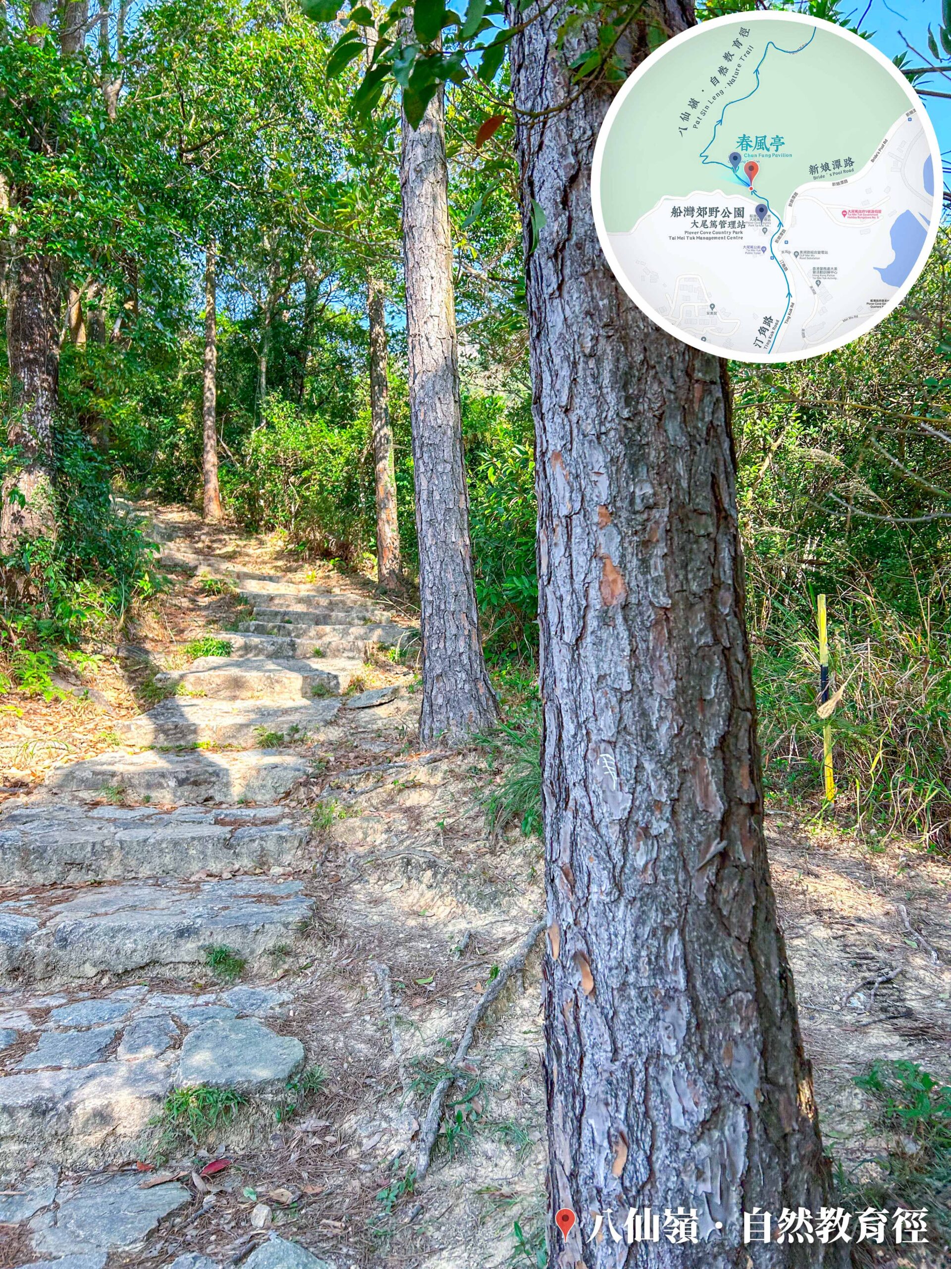 八仙嶺 • 自然教育徑《1.2》