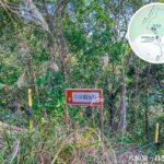 八仙嶺 • 自然教育徑《山草觀察點》