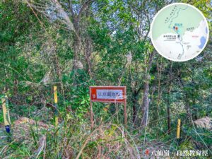 八仙嶺 • 自然教育徑《山草觀察點》