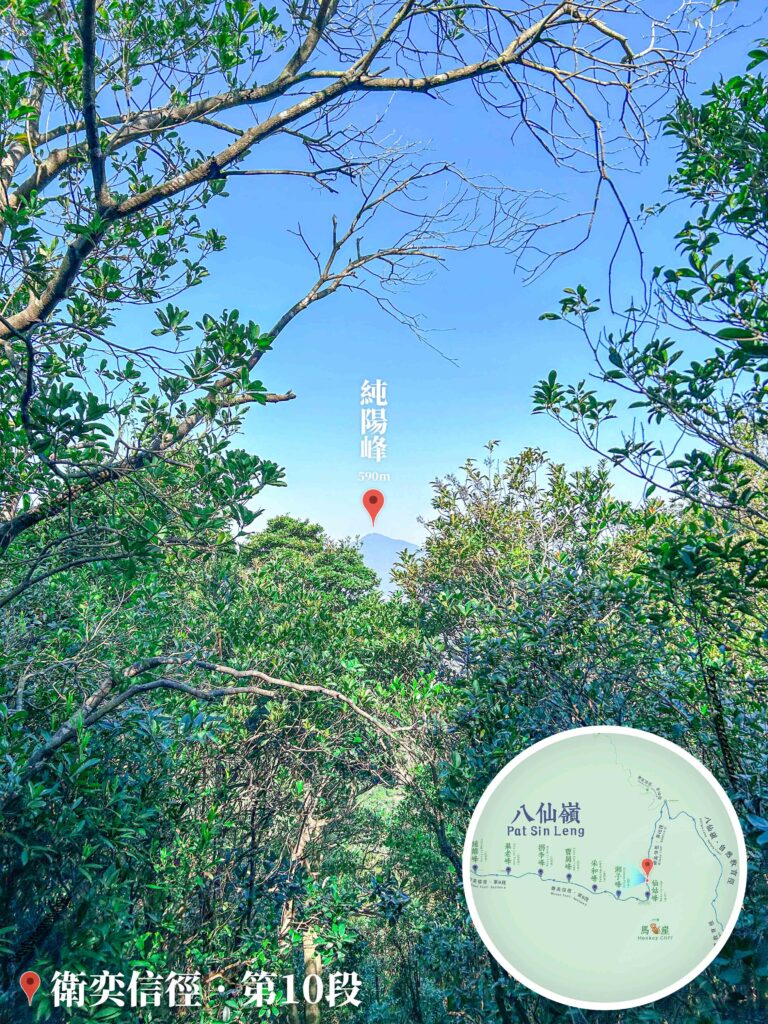 遙遠的山峰《純陽峰》