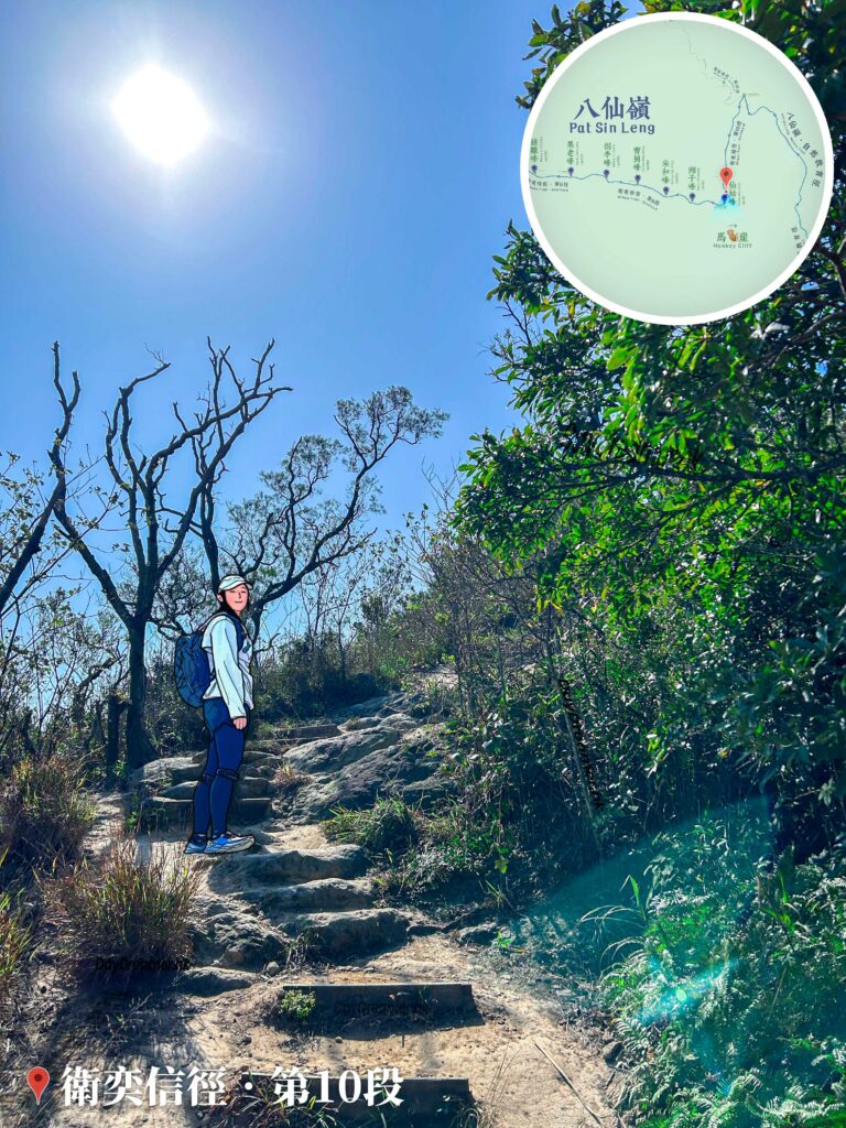 拾級而上《燦爛的陽光》