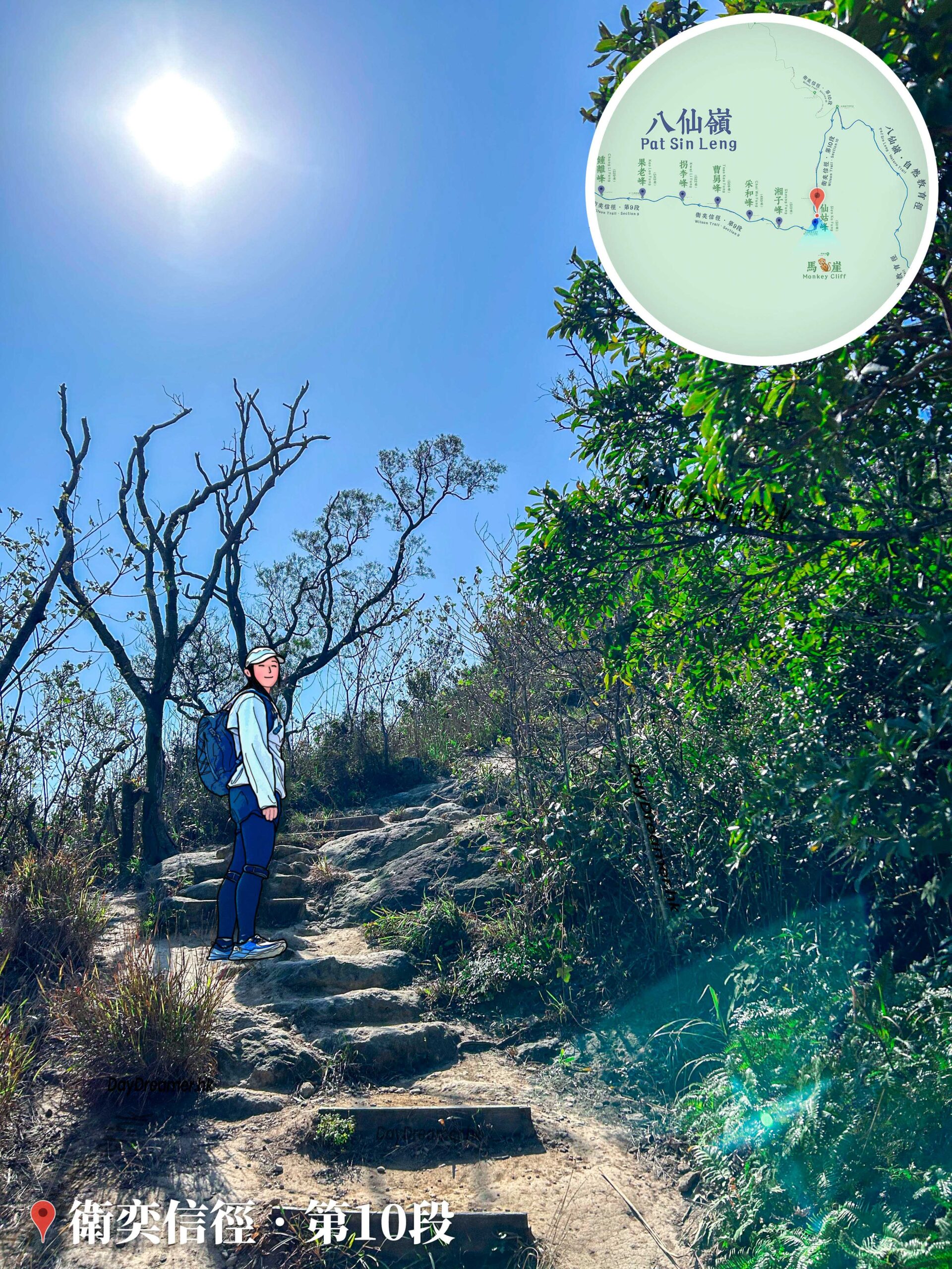 拾級而上《燦爛的陽光》