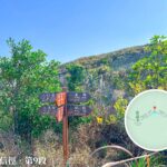 黃嶺 / 鶴藪 / 八仙嶺 / 大美督 / 鹿頸 / 南涌 • 路牌《1》