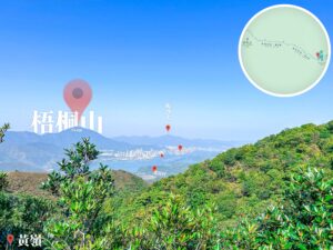 黃嶺《遠眺 • 梧桐山》