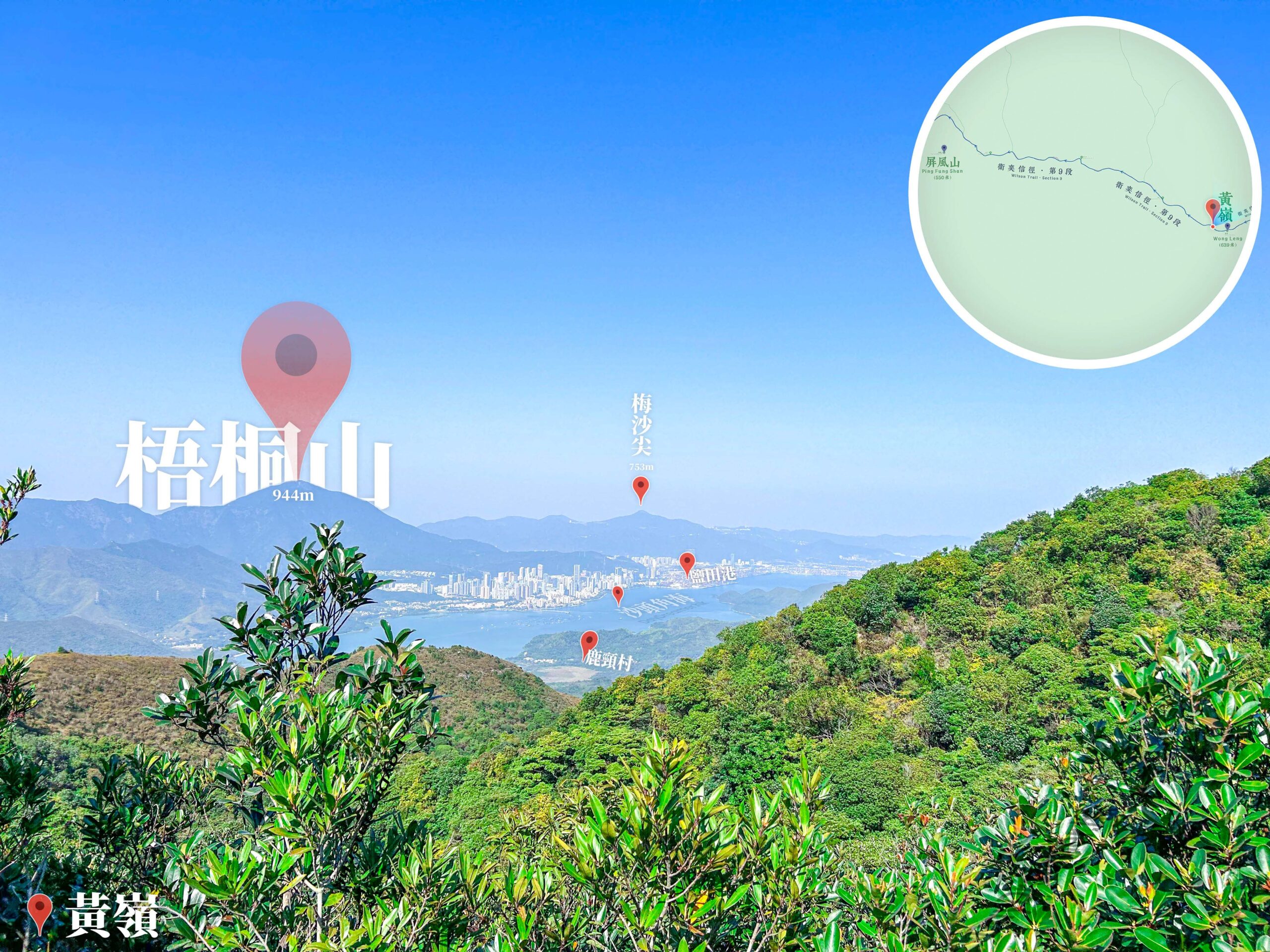 黃嶺《遠眺 • 梧桐山》