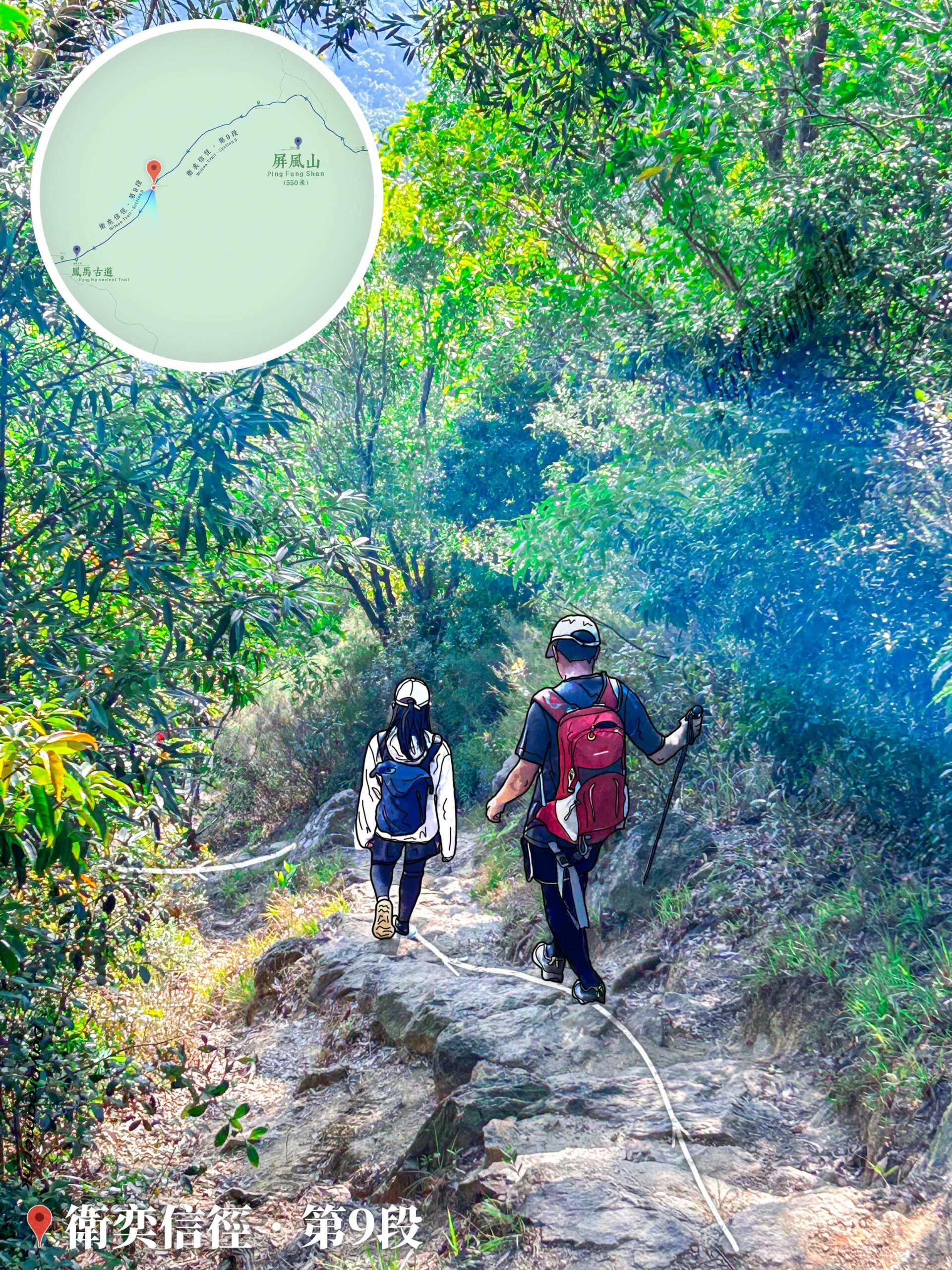 衛奕信徑 • 第9段《下山坡》