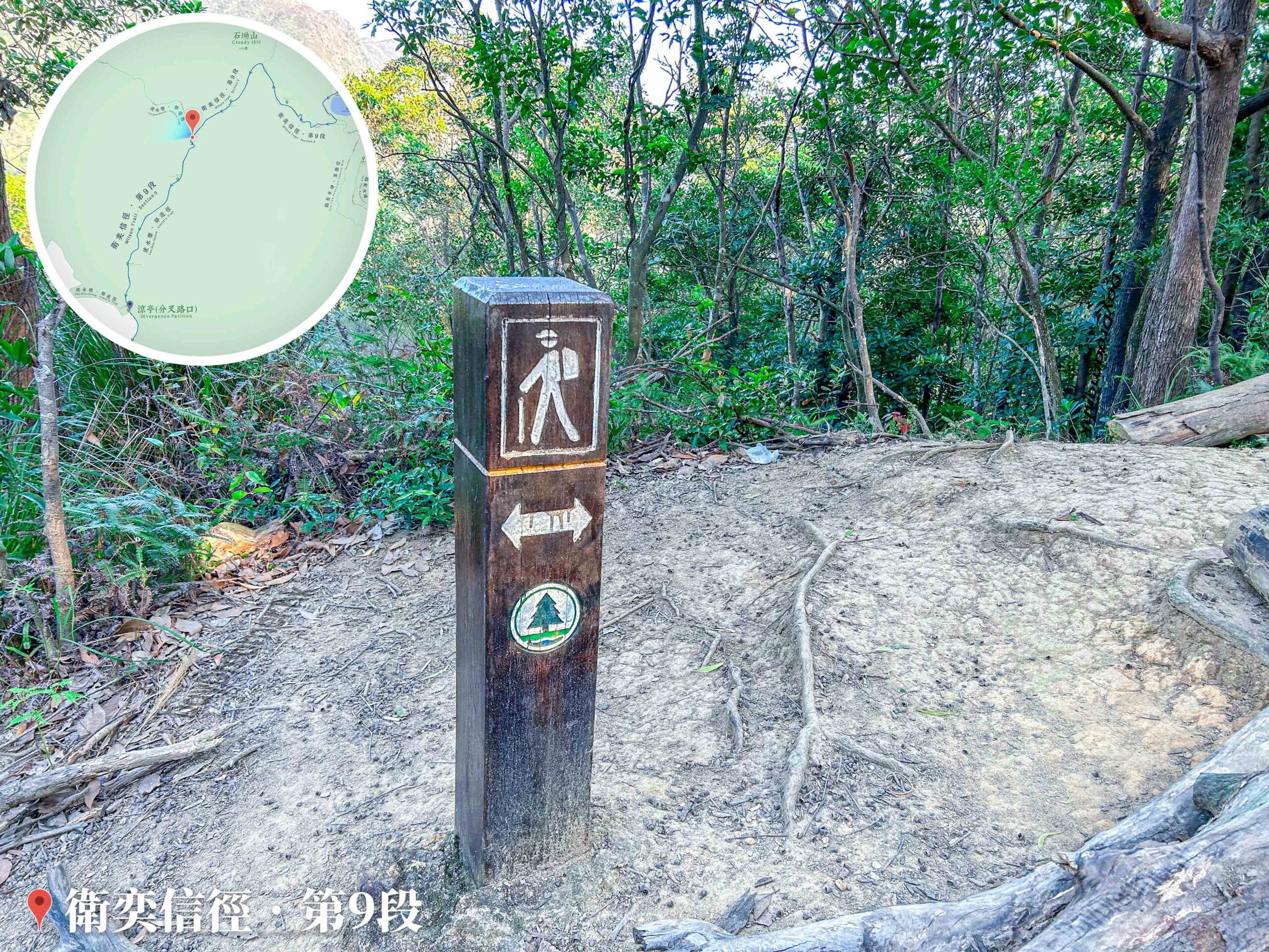 衛奕信徑《木刻 • 標示牌》