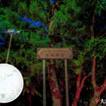 大埔頭徑《路牌》