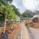 蓮麻坑村 • 村口《叄》