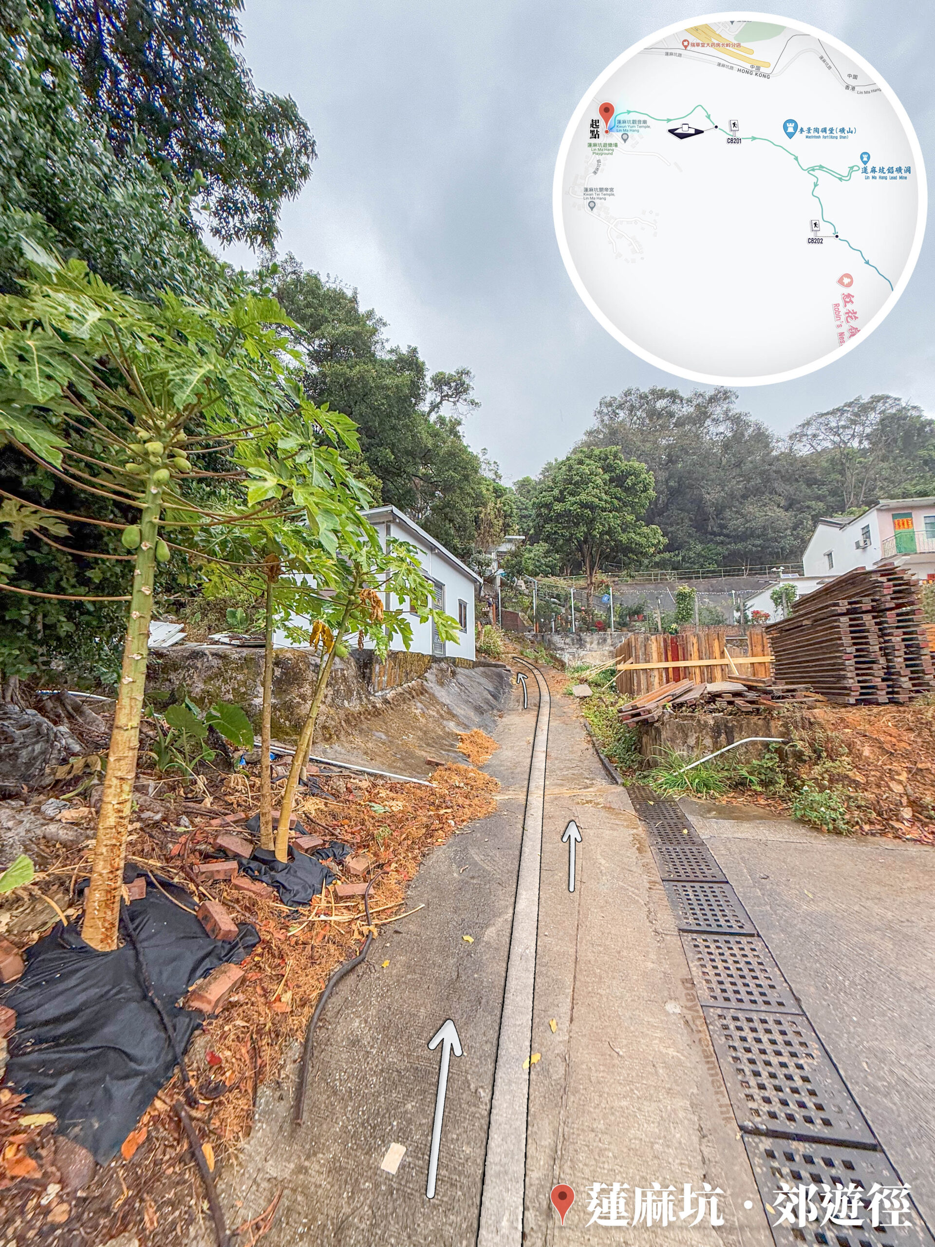 蓮麻坑村 • 村口《叄》