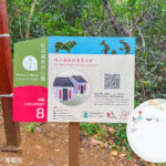 發現 • 紅花嶺《站點. 8》【壹】