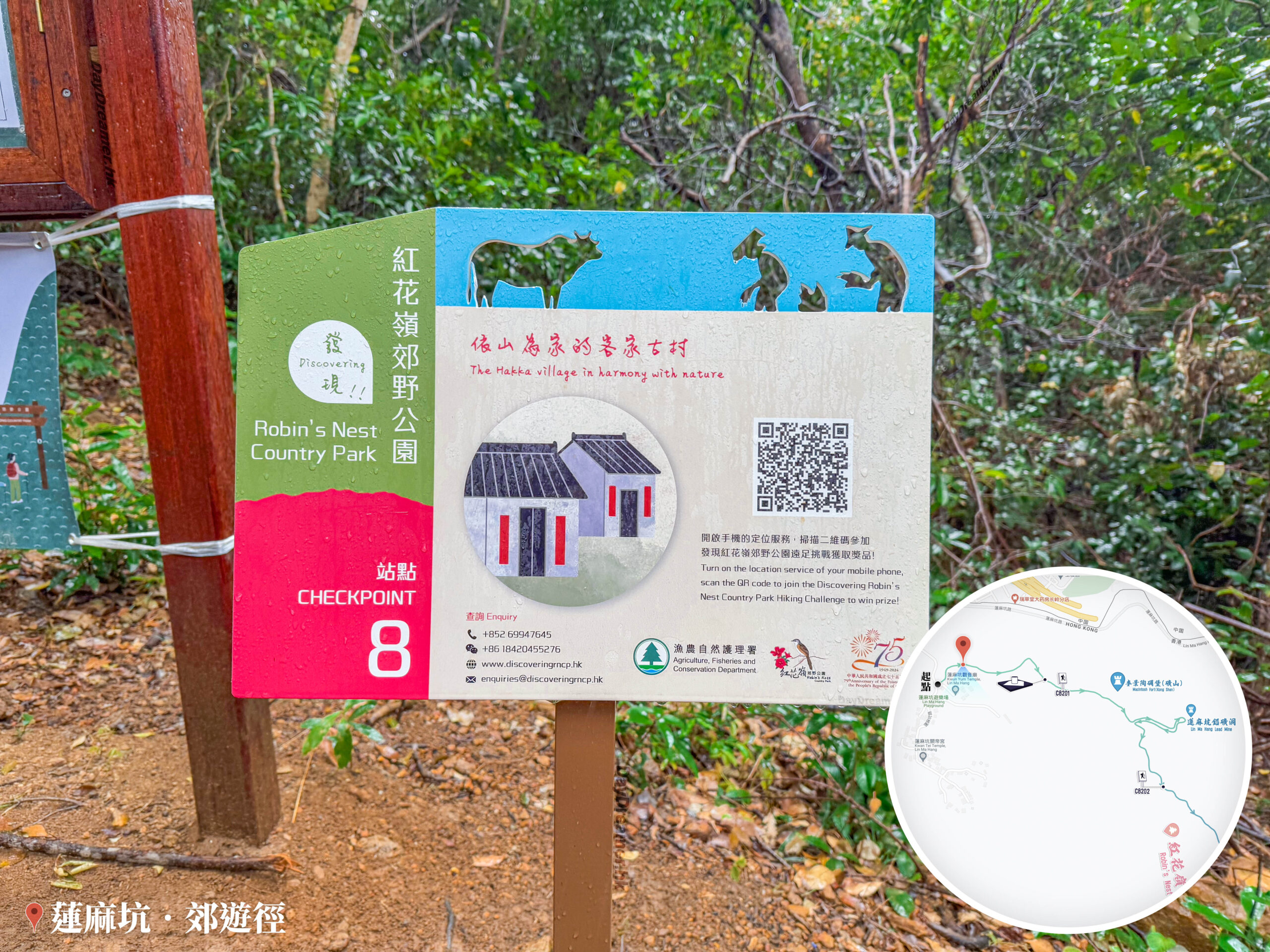 發現 • 紅花嶺《站點. 8》【壹】