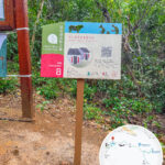 發現 • 紅花嶺《站點. 8》 【貳】