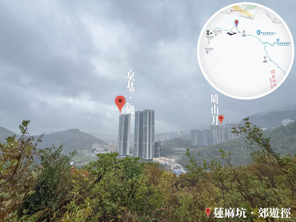 遠眺 • 深圳河對岸《壹》