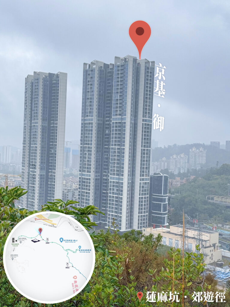 遠眺 • 深圳河對岸《貳》