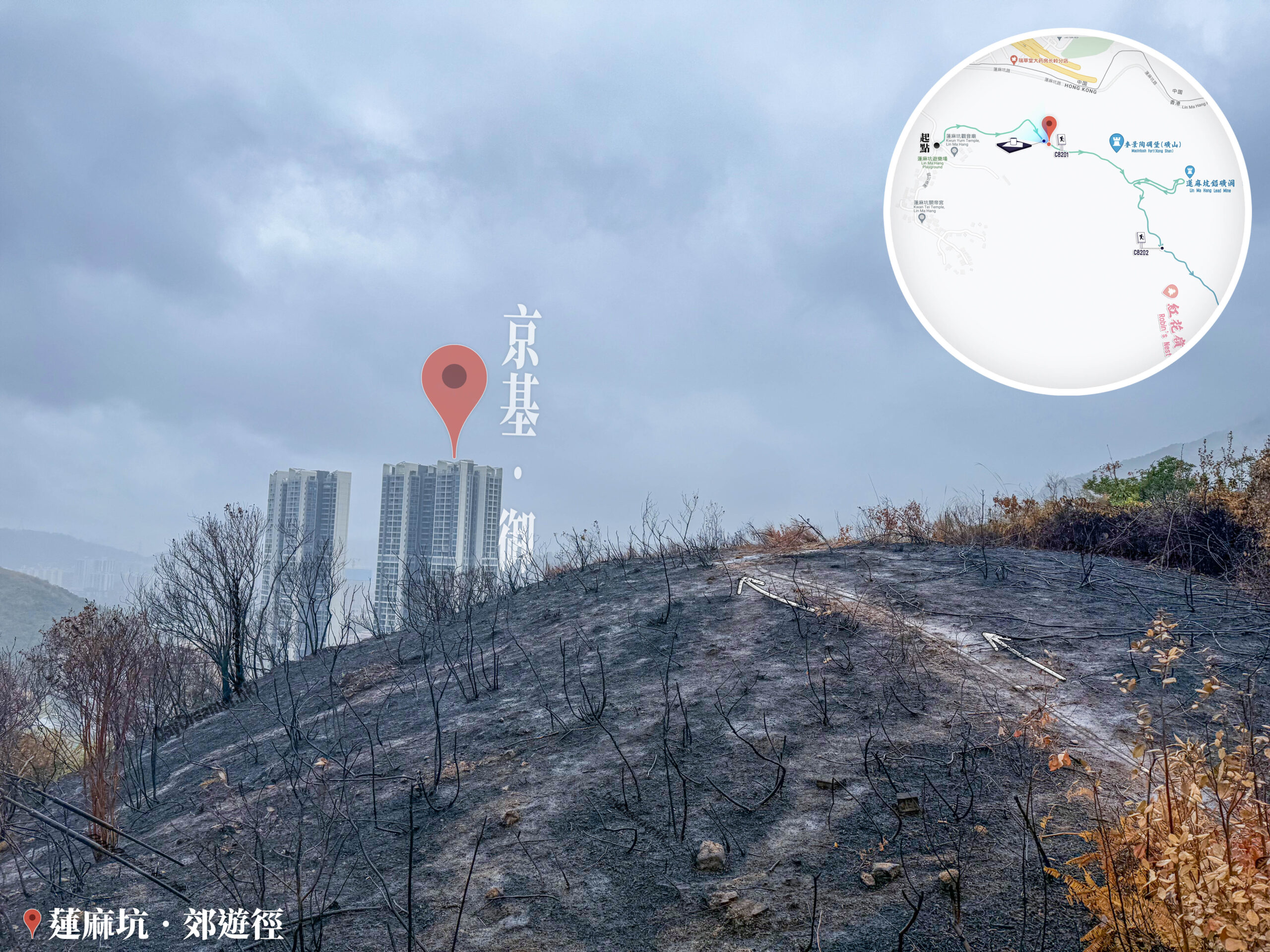 焦黑的山頭《叄》