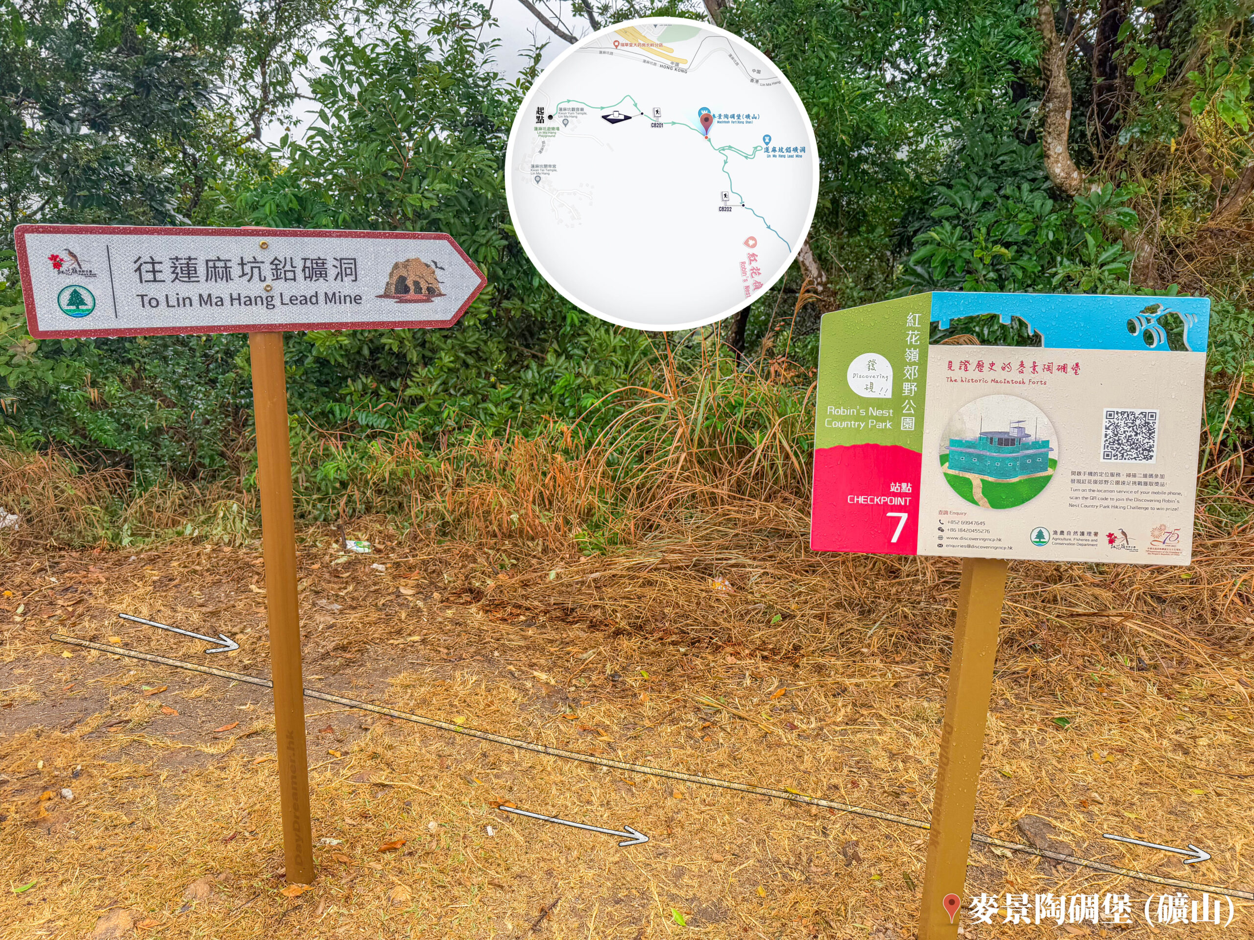 發現 • 紅花嶺《站點. 7》