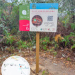 發現 • 紅花嶺《站點. 6》