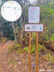 蓮麻坑 • 鉛礦洞《入口》【貳】