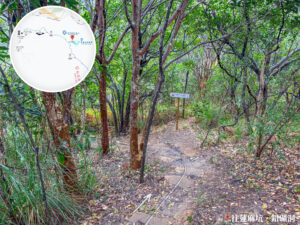 往蓮麻坑 • 鉛礦洞《山徑》【壹】