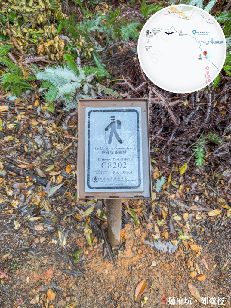 標距柱《C8202》