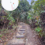 山路小徑《叄》