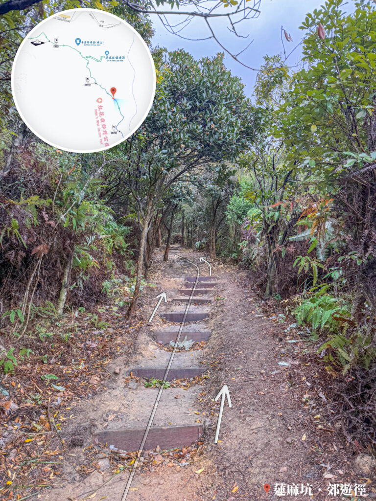 山路小徑《叄》