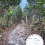 山路小徑《肆》