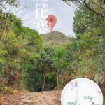 仰望 • 紅花寨《貳》