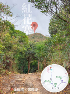 仰望 • 紅花寨《貳》