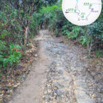 山路小徑《伍》