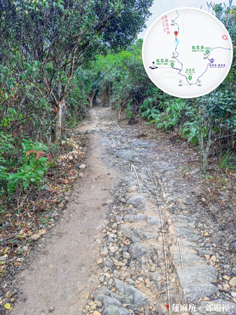 山路小徑《伍》