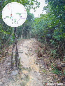 山路小徑《陸》