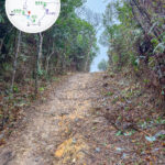 紅花嶺 • 登山入口《壹》